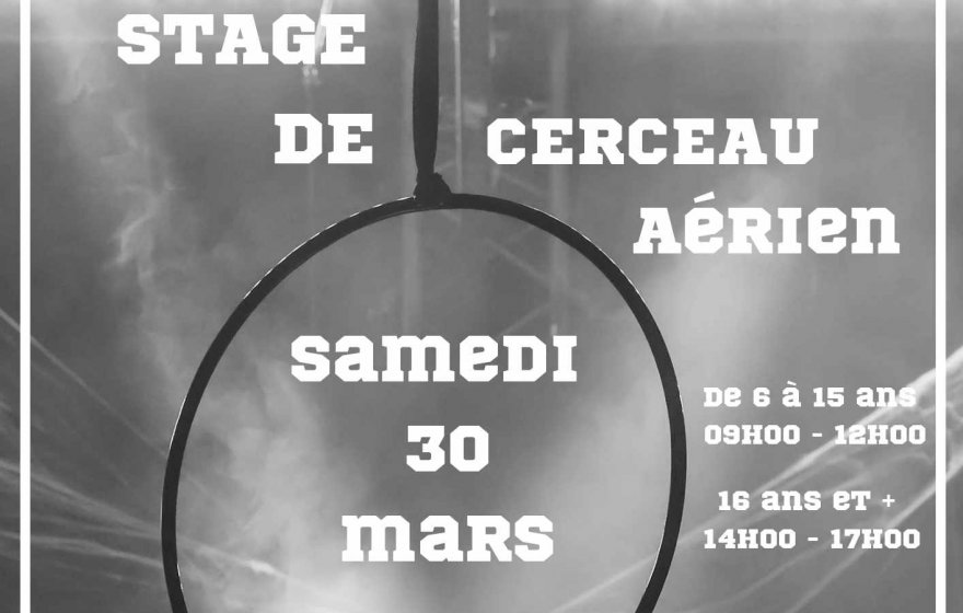 STAGE DE CERCEAU AERIEN 